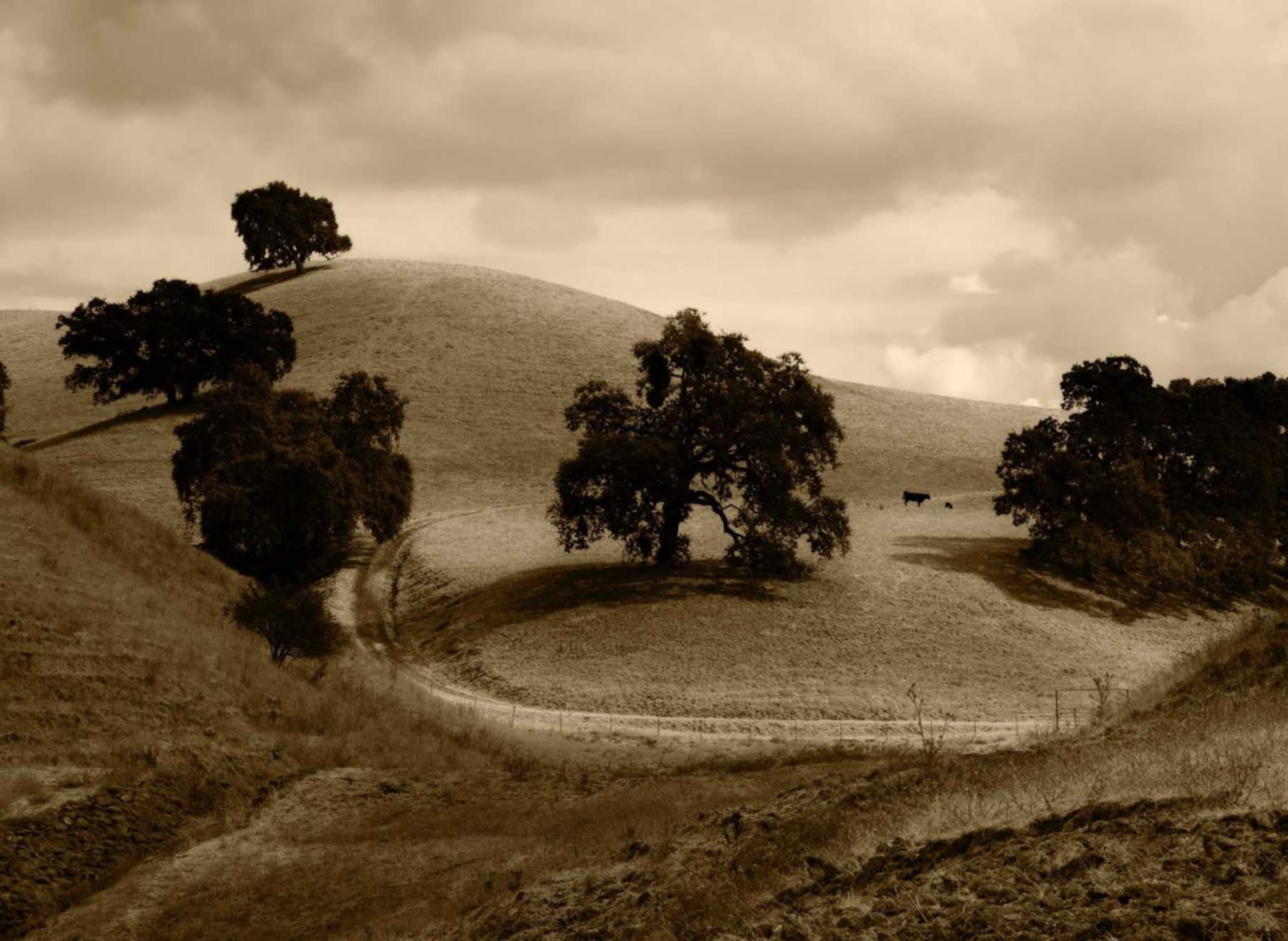 各样老微信买卖：奢app详情下载教程